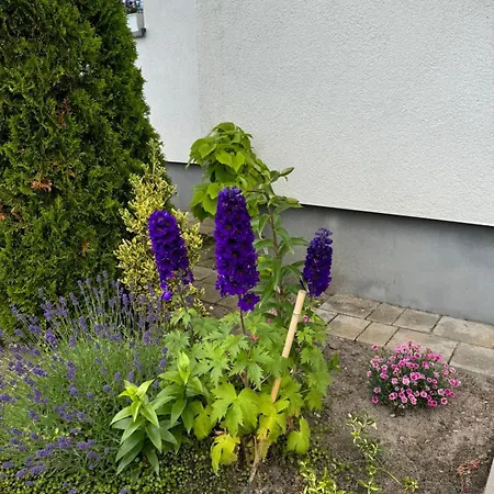 Gerendaház Lawendowe Karwia