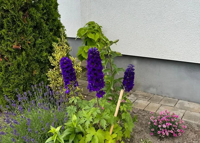 山林小屋 Lawendowe 卡尔维亚